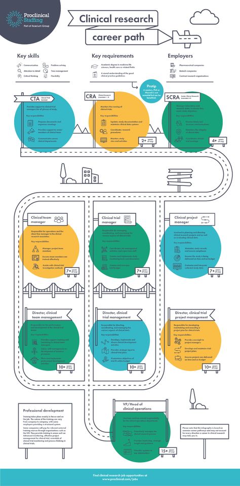 Flowchart Infographic, Flow Chart Design, Infographic Examples, Research Presentation, Career Pathways, Business Web Design, Path Design, Visual Learning, Life Decisions