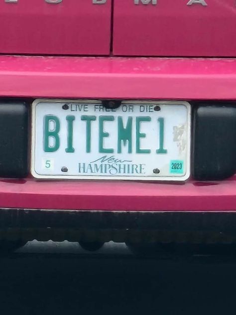 Cute Car License Plates, Cute License Plates, Personalized Plates License Ideas, Vanity Plates Ideas Car, Cool License Plates Ideas, Custom Plates Car Ideas, Girly License Plate Ideas, Licence Plate Ideas, Cute License Plate Ideas