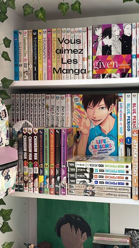 Manga Library Room, Manga Library Aesthetic, Manga Book Cover, Manga Book Aesthetic, Manga Organization, Manga Shelving, Manga Library, Manga Shelves, Manga Room