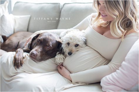 Maternity photoshoot pose ideas in home | Casual maternity photoshoot outfit ideas | Romantic maternity dresses | What to wear for a maternity photoshoot | Maternity photos on couch | Maternity photos with dogs | Maternity photos with pets Home Maternity Photography, Diy Maternity Photos, Indoor Maternity Photography, Maternity Work Clothes, Maternity Photography Poses Couple, Maternity Photo Outfits, Maternity Photoshoot Outfits, Maternity Photoshoot Poses, Photoshoot Pose