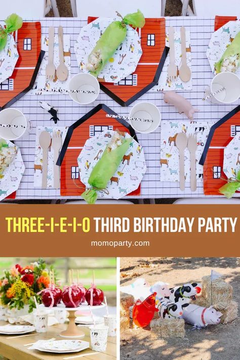 Cute Farm Birthday Ideas, On The Farm Party Theme, Three I Ei O Party, 3 I E I O Birthday Party, Animal Third Birthday Party, Barnyard Birthday Activities, Old Mcdonald 3rd Birthday Party, Three Year Old Farm Birthday, Farm Third Birthday Party