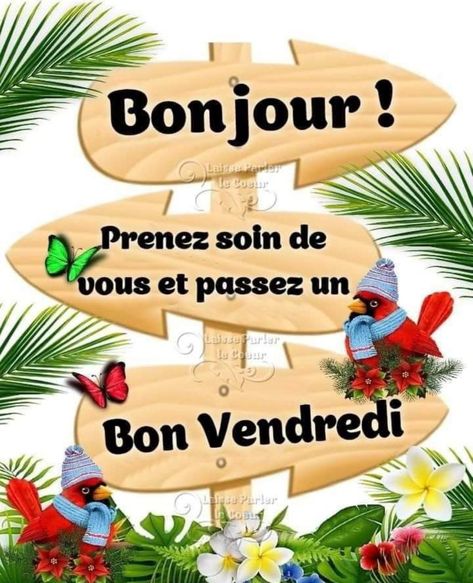 Bon Mardi, Fresh Flowers Arrangements, Good Morning Greetings, Morning Greeting, Flower Arrangements, Flowers