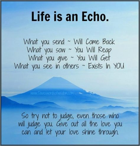 Life is an echo Life Is An Echo, Get What You Give, Animal Reiki, Abundant Life, Love Can, I Need You, Names Of Jesus, Timeline Photos, Famous Quotes