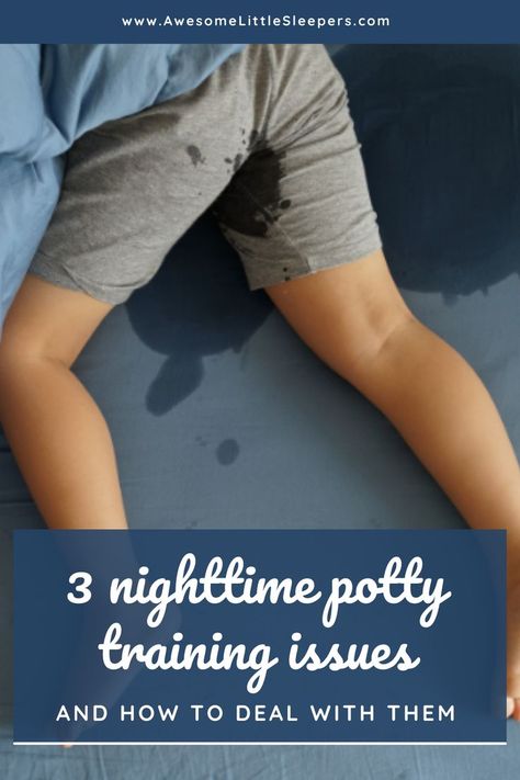 Boy Potty Training Tips, Night Potty Training, Nighttime Potty Training, Night Time Potty Training, Potty Training Regression, Toddler Routine, Potty Training Boys, Toddler Milestones, Toddler Potty Training