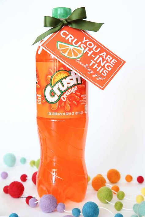 Crush Soda, Appreciation Gifts Diy, Staff Appreciation Gifts, Volunteer Gifts, Gifts To Make, Volunteer Appreciation, Employee Appreciation Gifts, Diy Teacher Gifts, Staff Appreciation