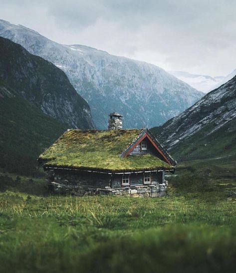 NORWAY 🇳🇴 on Instagram: “There is a reason why almost 40% of Norwegian households has some kind of cabin. Here you can relax, breathe in the peace and silence and�…” Norwegian Cabin, Grass Roof, Relaxing Vacations, Cabins And Cottages, Cabin Life, Cabin In The Woods, Green Roof, Travel Instagram, Cabins In The Woods