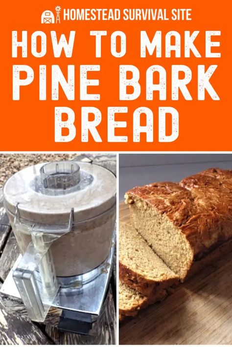 Homestead Bread, Homesteading Recipes, Recipes Deserts, Pine Bark, Prep Food, Sourdough Discard Recipes, Survival Hacks, Belt Grinder, Discard Recipes