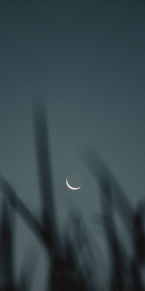 Uicideboy Wallpaper, Whats Wallpaper, You Are My Moon, Wallpaper Pastel, Dark Phone Wallpapers, 背景 シンプル, Minimalist Photography, Cool Wallpapers Art, Phone Wallpaper Images