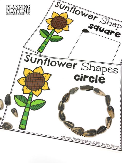 Seeds Theme Preschool, Preschool Sunflower Theme, Sunflower Preschool Crafts, Sunflower Kindergarten, Preschool Sunflower Activities, Sunflower Activities For Toddlers, Sunflower Science Preschool, Gardening Montessori Activities, Sunflower Playdough Mats