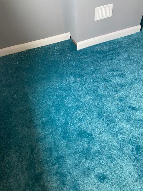 Teal Carpet Bedroom, Teal Carpet Living Room, Blue Carpet Interior, Mint Green Carpet, Teal Carpet, Teal Shag Rug, Sea Colour, Store Interiors, House Interior Decor