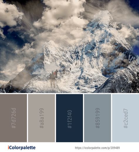 Dark Grey Light Blue Color Schemes, Grey And Dark Blue Aesthetic, Blue Taupe Brown Color Palette, Navy And Neutral Color Palette, Blue Moody Color Palette, Navy Silver Color Palette, Misty Color Palette, Navy And Silver Color Palette, Smokey Blue Color Palette