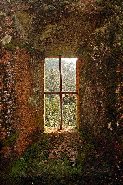 Windows Me, Beautiful Windows, Old Windows, Window View, Old Doors, Through The Window, Beautiful Doors, Abandoned Houses, Abandoned Places