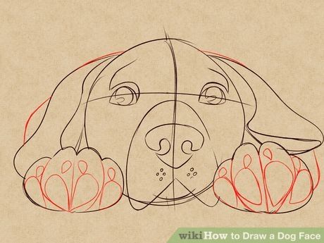 Image titled Draw a Dog Face Step 6 Dog Face Drawing, Dog Drawing Tutorial, Draw A Dog, Dog Drawing Simple, Dog Faces, Arte Doodle, Family Dog, Face Sketch, Dog Drawing