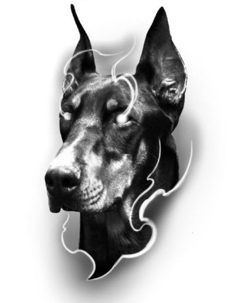 Doberman Tattoo Design, 3 Headed Dog Tattoo, Doberman Tattoo, Dog Portrait Tattoo, Bulldog Tattoo, Gangsta Tattoos, Chicano Style Tattoo, Animal Illustration Art, Chest Piece Tattoos