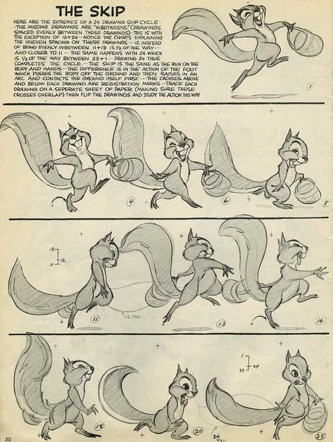 Old School Animation - Imgur Principles Of Animation, Animation Sketches, Animation Tutorial, 캐릭터 드로잉, Animation Reference, Animated Drawings, Character Sheet, Character Design References, Squirrels