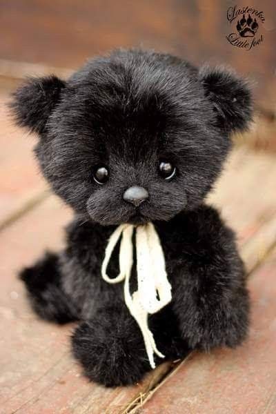 Black Stuffed Animal, Cute Teddy Bear Pics, Black Teddy Bear, Teddy Bear Images, Teddy Bear Pictures, Teddy Bear Collection, Bear Crafts, Bear Pictures, Tatty Teddy