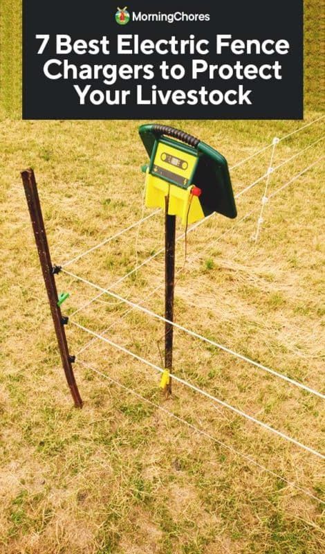 7 Best Electric Fence Chargers to Protect Your Livestock Goat Fencing, Solar Electric Fence, Dog Enclosures, Livestock Fence, Electric Fence Energizer, Chicken Wire Fence, Horse Fence, Urban Chickens, Horse Fencing