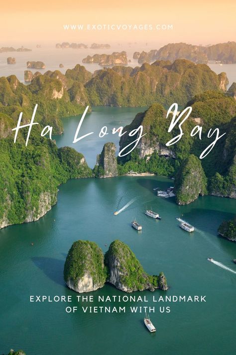 Ha Long Bay is no doubt a national landmark of Vietnam after being declared as a World Heritage Site by UNESCO in 1994. Embarking a cruise ship is the finest way to explore the serene beauty of the emerald waters and thousands of towering limestone islands topped by rainforests. And for an up-close view, you can take a kayaking excursion to explore hidden caves, lagoons and beaches. Don’t miss a chance to visit Ha Long Bay with our “Postcard of Vietnam'' tour below: Vietnam Vacation, Vietnam Map, Halong Bay Vietnam, Vietnam Holidays, Vietnam Tours, Ha Long Bay, Ha Long, Halong Bay, Vietnam Travel