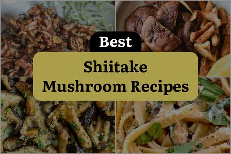 Looking for the best shiitake mushroom recipes? We have a list of 29 best recipes for you. Shiitake Mushroom Recipes, Best Pimento Cheese, Shiitake Mushrooms Recipes, Chipotle Pepper Sauce, Homemade Pimento Cheese, Pimento Cheese Spread, Classic Southern Recipes, Pimento Cheese Recipes, Sandwich Fillings