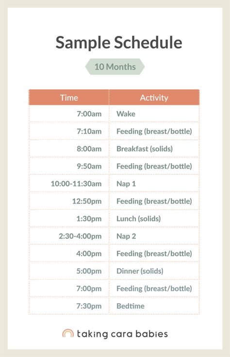 6 Month Sleep Schedule, 10 Month Old Schedule, 7 Month Old Sleep, 6 Month Old Sleep, Taking Cara Babies, Wake Windows, Sleep Regressions, Uppfostra Barn, Moms On Call