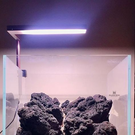 Dave Decapodian on Instagram: "Another day, another mountain scape! ⛰ this time using black lava rock in a 30cm cube for a customer. I got a little carried away with the details but I’m pretty happy with the end result 🙂 🌱 🧊 Bioeco tank from @aquatico_aquarium 🪨 Black lava rock from @smilingrockmelbourne #aquascape #aquascaping #aquascapingaustralia #iwagumi #iwagumistyle #iwagumilayout #diorama #nanoiwagumi #lavarock #blacklava #cubeaquarium #hardscape #hardscapedesign #hardscaping #hardsca Lava Rock Aquascape, Rock Aquascape, Mountain Scape, Hardscape Design, Reef Tank, Aquascaping, Lava Rock, Lava Stone, Another Day