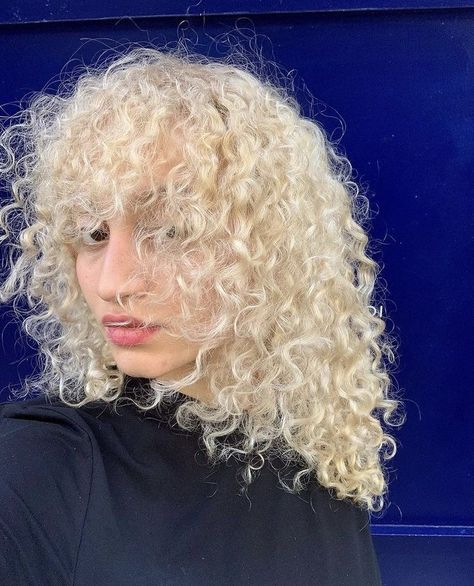 Bleached Curly Hair, 1920s Bob, Blond Curls, Blonde Curly Bob, White Blonde Hair, Bleach Blonde Hair, Bella Hair, Blonde Curly Hair, Crown Hair