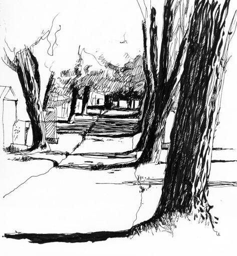 Drawing Trees Sketchbook Architecture, Drawing Trees, Tree Drawings Pencil, Architecture Sketchbook, Tree Sketches, Landscape Sketch, Landscape Drawings, Tree Drawing, Urban Sketching