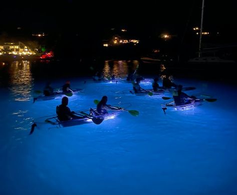 Sting Rays, Sailing Lessons, Water Island, Glow Paint, Beach Honeymoon, Kayak Tours, Charter Boat, Resort Villa, Island Tour