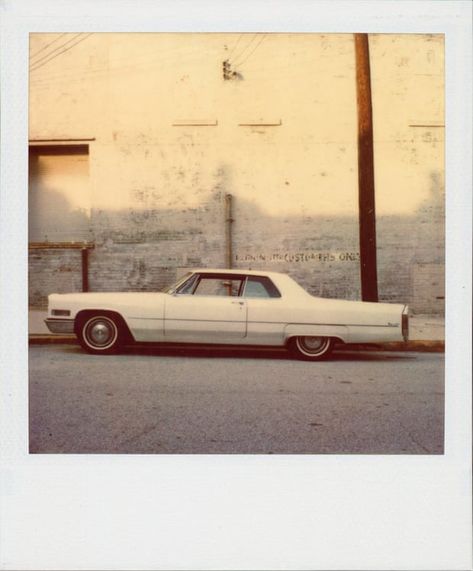 Capturing the Present in the Lush Polaroids of Celebrated Cinematographer Robby Müller - Flashbak Robby Muller, Jim Jarmusch, Polaroid Ideas, Mystery Train, Polaroid Aesthetic, Polaroid Photography, Instant Photography, Polaroid Photo, Polaroid Pictures