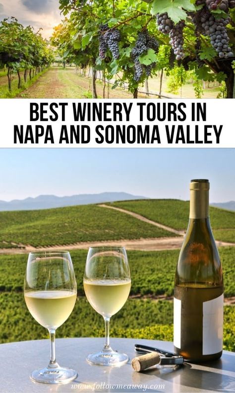 Best Vineyards In Napa Valley, Vineyard California, Sonoma Wine Tours, Napa Valley Wine Tours, Napa Valley Trip, Napa Trip, Future Board, California Roadtrip, Sonoma Wineries