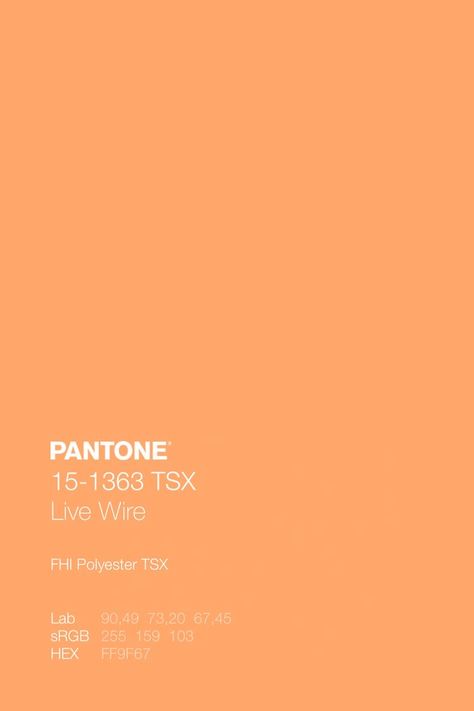 Creamy Orange Color, Pantone Pastel Colors, Orange Pastel Color, Grimm Book, Pastel Pantone, Pastel Orange Color, Mood Boards Color, Orange Color Code, Pantone Orange