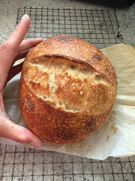 Sourdough Mini Loaf- Recipe - Crafty Gemini Sourdough Mini Loaf, Small Loaf Sourdough Bread, Small Sourdough Loaf Recipe, Small Sourdough Loaf, Sourdough Mini Loaves, Mini Sourdough Loaves, Best Sourdough Starter Recipe, Malt Loaf, Yeast Baking