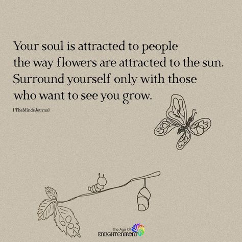 Your Soul Is Attracted To People Powerful Words, Note To Self, Positive Thoughts, Your Soul, The Words, Beautiful Words, Inspirational Words, Wise Words, Favorite Quotes