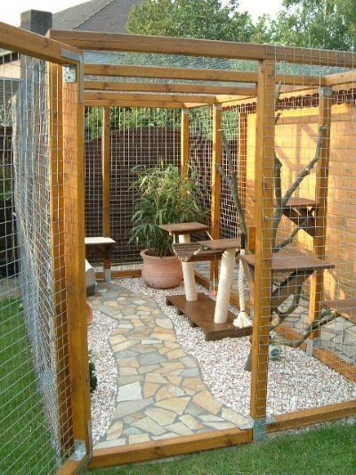 Cat Architecture, Cat Homes, Catio Plans, Pet Enclosures, Catio Ideas, Katt Diy, Ideas For Cats, Katt Grejer, Savannah Cats