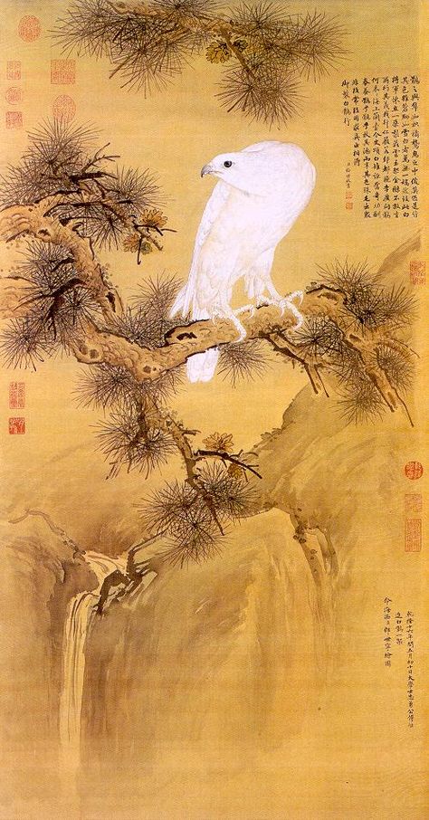 Japanese falconry probably ultimately derives from the Chinese. This 18th century image of such a gos and a gyr by Castiglione, the Jesuit painter at the Chinese court, who combined western and Chinese techniques. Giuseppe Castiglione, Hawk Art, Asian Birds, Bird Reference, White Falcon, Changchun, Chinese Paintings, Art Chinois, Eagle Art