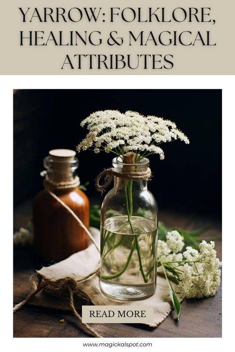 Unearth the mystical secrets of Yarrow in our captivating article! Delve into its rich folklore, explore its healing properties, and uncover the magical attributes this ancient herb holds in witchcraft. From love spells to protective charms, yarrow is a versatile ally for any practitioner. 🌼✨ #YarrowMagic #FolkloreHerbs #HealingPlants #WitchcraftHerbology #MagicalProperties Hyssop Magical Properties, Yarrow Witchcraft Uses, Yarrow Witchcraft, Herb Preservation, Yarrow Benefits Witchcraft, Wormwood Magical Properties, Yarrow Magical Properties, Orris Root Magical Properties, Herbal Grimoire