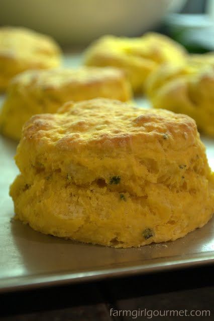 Butternut Squash & Sage Biscuits Squash Biscuits, Sage Biscuits, Apricot Scones, Butternut Squash And Sage, Butternut Squash Sage, Homemade Bread Recipes, Butternut Squash Mac And Cheese, Butternut Squash Puree, Squash Puree