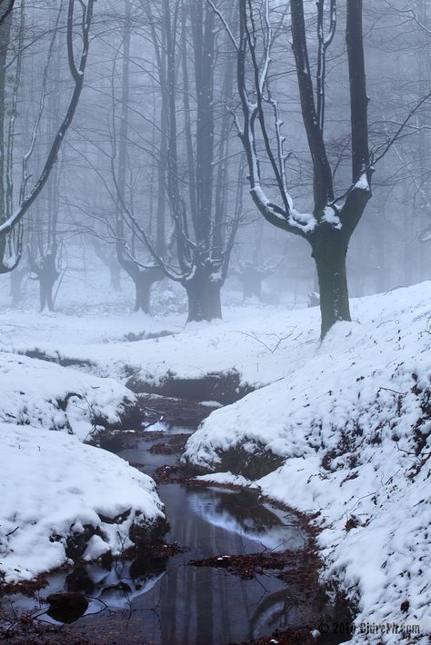 ☯ ☯ ☯ Blood On Snow, Winter Scenery, Winter Beauty, Winter Forest, Winter Wonder, Winter Aesthetic, Nature Aesthetic, Winter Landscape, Winter Scenes