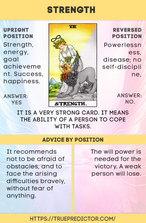 The Strength — meaning for love, future and money Tarot Reading Spreads, Strength Tarot, Tarot Interpretation, Tarot Significado, Tarot Cards For Beginners, Learning Tarot Cards, Tarot Guide, Tarot Card Spreads, Tarot Book