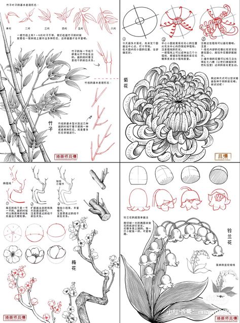 Foliage Drawing Tutorial, Flower Sketch Reference, Drawing Flowers Tutorial, How To Draw Ferns, Chinese Art Tutorial, How To Draw Plants, Flower Tutorial Drawing, Drawing Flowers Step By Step, Chinese Sketch