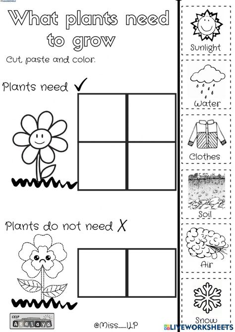 Needs Of A Plant Kindergarten, Garden Theme Worksheets, Learning About Plants Preschool, What Do Plants Need To Grow, Plants Lesson Plan Preschool, Plants And Seeds Preschool, Plants Worksheets For Kindergarten, Nature Worksheets For Preschool, Plants Need Worksheet