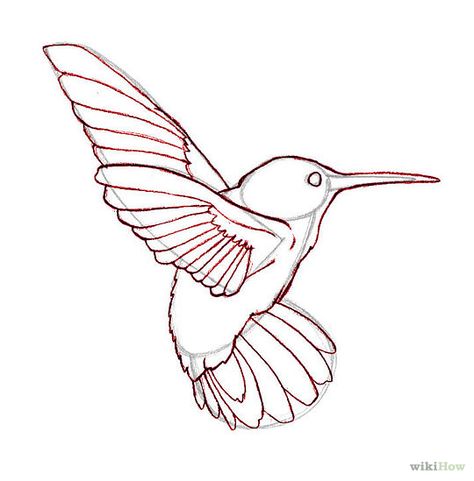 How to Draw Hummingbirds: 7 Steps (with Pictures) - wikiHow Cute Easy Animal Drawings, Hummingbird Drawing, Easy Animal Drawings, Hummingbird Painting, Easy Animals, Hummingbird Art, Animal Drawing, Things To Draw, Creative Lettering