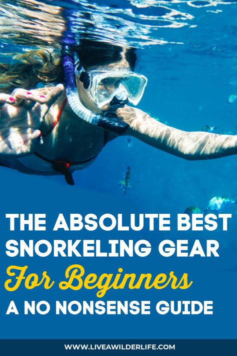 Hawaii Snorkeling, Snorkel Gear, Traveling Ideas, Full Face Snorkel Mask, Adventure Accessories, Camping Must Haves, Best Snorkeling, Snorkel Mask, Snorkel Set