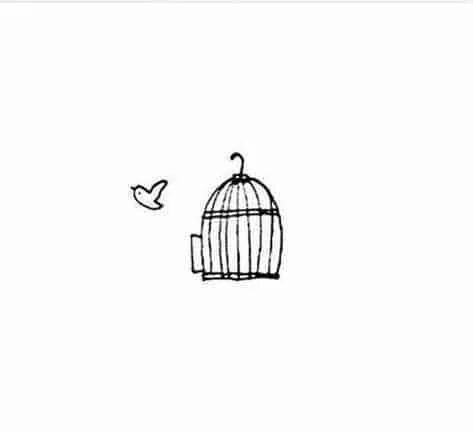 cage bird Bird Doodle, 심플한 그림, Arte Doodle, Bird Quotes, Marjolein Bastin, The Cage, Small Drawings, Little Doodles, Mini Drawings