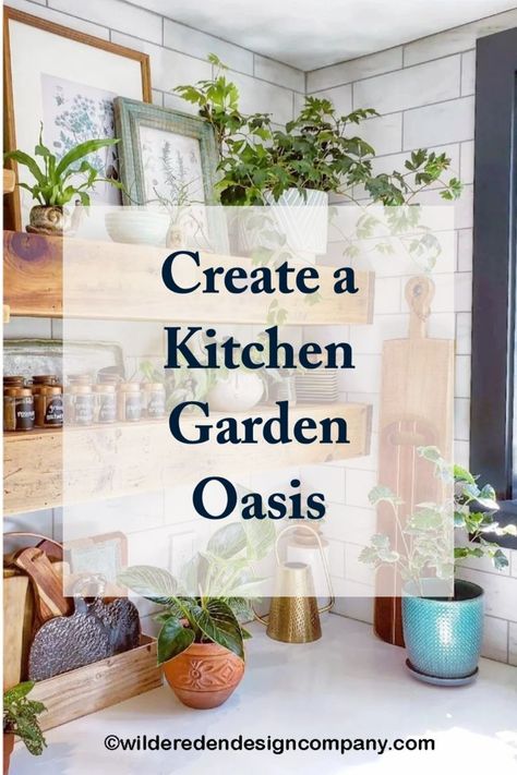 kitchen inspo Plants Above Kitchen Cabinets, Plants In Kitchen, Shelves For Plants, Feature Lights, Plant Kitchen, Kitchen Plants, Cupboard Shelves, Kitchen Display, Garden Oasis