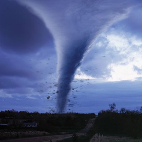 11 Tips Sure to Help You Survive a Tornado Lisa Gerrard, Tornado Pictures, Earth Science Lessons, Tornado Alley, Storm Shelter, Severe Storms, Safe Room, Flood Zone, Homeowners Insurance