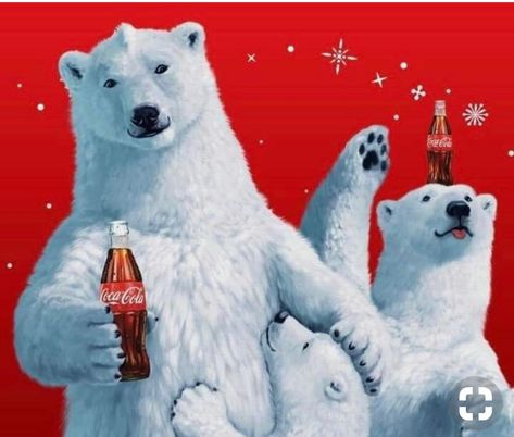 Coca Cola Pictures, Polar Bear Logo, John Pemberton, Coca Cola Poster, Cocoa Cola, Coca Cola Bear, Coca Cola Decor, Coca Cola Santa, Polar Bear Art