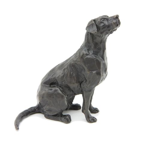 Bronze Dog Sculpture: Sitting Labrador by Sue Maclaurin Dog Anatomy, Pottery Animals, Antony Gormley, Like A Lion, Dog Search, Felt Dogs, Dog Sculpture, Ceramic Animals, Sculpture Clay