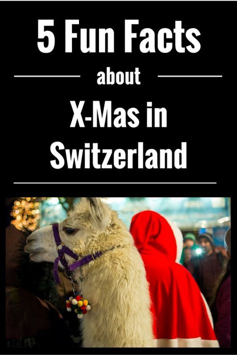 5 Fun Facts about #Christmas in #Switzerland Swiss Christmas Decorations, Fun Facts About Christmas, Christmas In Switzerland, Christmas Fun Facts, Swiss Christmas, Switzerland Christmas, Viking Cruises Rivers, Christmas Trivia, River Cruise