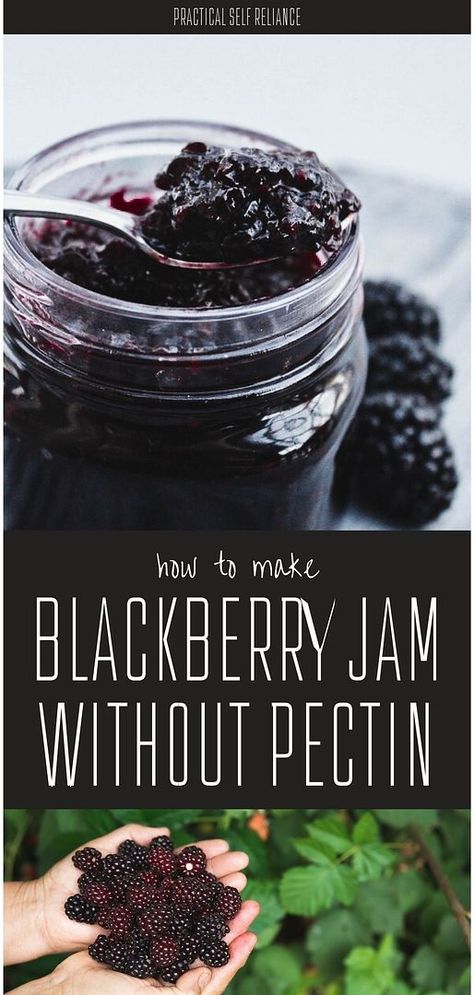 Learn how to make blackberry jam without pectin today. Experience the delight of preserving the natural sweetness in every jar. Spread it on freshly baked goods, use it as a topping, or gift it to your loved ones. This canning jam recipe is a must try. Embrace the satisfaction of creating your own homemade blackberry jam. Elevate your breakfast or snack time with this irresistible blackberry jam recipe that celebrates the goodness of nature's bounty. Blackberry Jam Without Pectin, Blackberry Jam No Pectin, Fruit In Jars, Canning Recipes For Beginners, Canning Blackberries, Canning Fruit Recipes, Preserving Fruit, Jam Without Pectin, Homemade Blackberry Jam